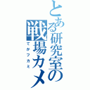 とある研究室の戦場カメラマン（てかフカミ）