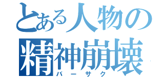 とある人物の精神崩壊（バーサク）