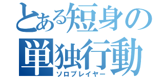 とある短身の単独行動（ソロプレイヤー）