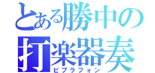 とある勝中の打楽器奏者（ビブラフォン）