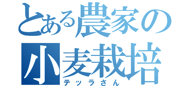 とある農家の小麦栽培（テッラさん）