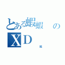 とある蝦蝦   のＸＤ（   姐）