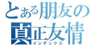 とある朋友の真正友情〃（インデックス）