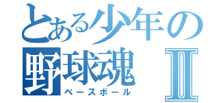 とある少年の野球魂Ⅱ（ベースボール）