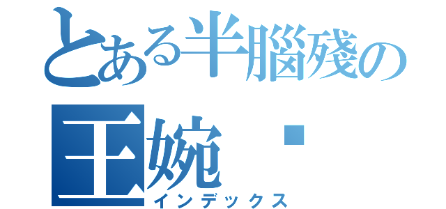 とある半腦殘の王婉碟（インデックス）