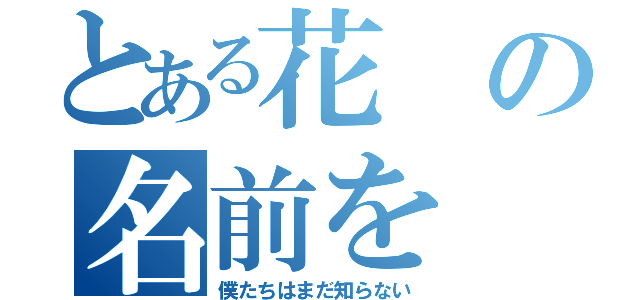 とある花の名前を（僕たちはまだ知らない）