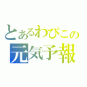 とあるわぴこの元気予報（）