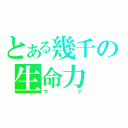 とある幾千の生命力（マナ）