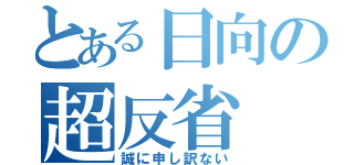 とある日向の超反省（誠に申し訳ない）