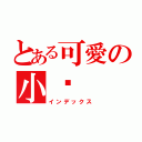 とある可愛の小喵（インデックス）