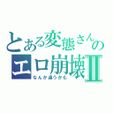 とある変態さんのエロ崩壊Ⅱ（なんか違うかも）