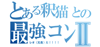 とある釈猫との最強コンビⅡ（レオ（兄貴）だ！！！！）