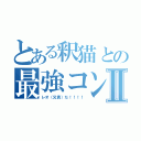 とある釈猫との最強コンビⅡ（レオ（兄貴）だ！！！！）