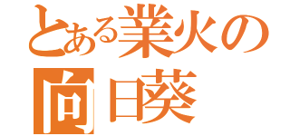 とある業火の向日葵（）