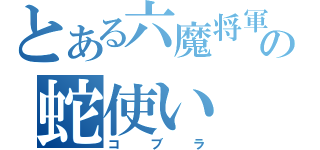 とある六魔将軍の蛇使い（コブラ）