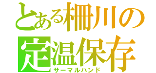 とある柵川の定温保存（サーマルハンド）