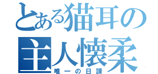 とある猫耳の主人懐柔（唯一の日課）