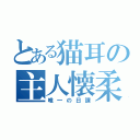 とある猫耳の主人懐柔（唯一の日課）