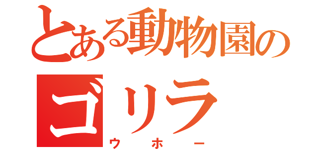 とある動物園のゴリラ（ウホー）