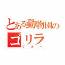 とある動物園のゴリラ（ウホー）