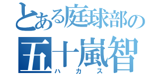 とある庭球部の五十嵐智彦（ハカス）