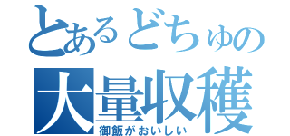 とあるどちゅの大量収穫（御飯がおいしい）