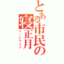 とある市民の寝正月（ニートライフ）