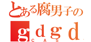 とある腐男子のｇｄｇｄ（ＣＡＳ）