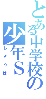 とある中学校の少年ＳⅡ（しょうは）