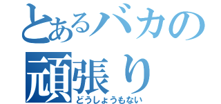 とあるバカの頑張り（どうしょうもない）