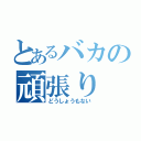 とあるバカの頑張り（どうしょうもない）