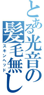 とある光音の髪毛無し（スキンヘッド）