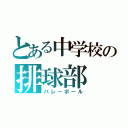 とある中学校の排球部（バレーボール）