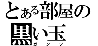 とある部屋の黒い玉（ガンツ）