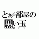 とある部屋の黒い玉（ガンツ）