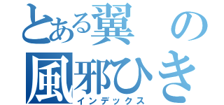 とある翼の風邪ひきさん笑（インデックス）