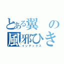 とある翼の風邪ひきさん笑（インデックス）