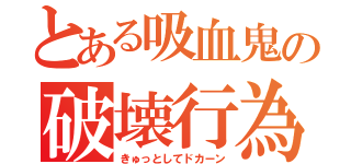 とある吸血鬼の破壊行為（きゅっとしてドカーン）