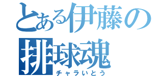 とある伊藤の排球魂（チャラいとう）