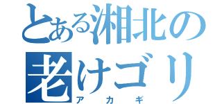 とある湘北の老けゴリラ（アカギ）