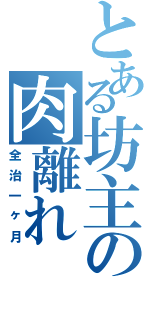 とある坊主の肉離れ（全治一ヶ月）