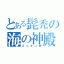 とある髭禿の海の神殿（スニオン岬）