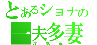 とあるショナの一夫多妻（浮気王）