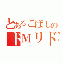 とあるこばしのドＭリドラ（）