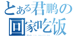 とある君鹏の回家吃饭（Ｍｕｍ ｉｓ ｗａｉｔｉｎｇ）