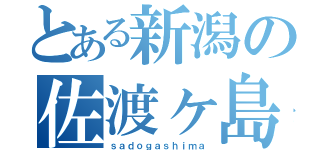 とある新潟の佐渡ヶ島（ｓａｄｏｇａｓｈｉｍａ）