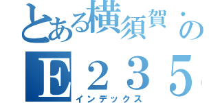 とある横須賀・総武快速線のＥ２３５系（インデックス）