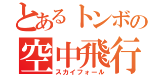 とあるトンボの空中飛行（スカイフォール）