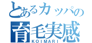 とあるカッパの育毛実感（ＫＯＩＭＡＲＩ）