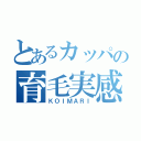 とあるカッパの育毛実感（ＫＯＩＭＡＲＩ）